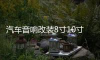 汽车音响改装8寸10寸12寸车载无源低音炮双音圈重低音纯低音喇叭