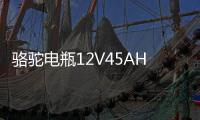 骆驼电瓶12V45AH适配长安之星面包车五菱宏光s东风小康汽车蓄电池